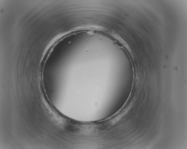 X0000084040989200703022144