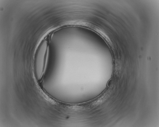 X0000084040992200703022144