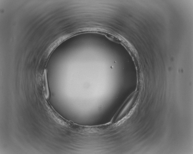 X0000084040993200703022144