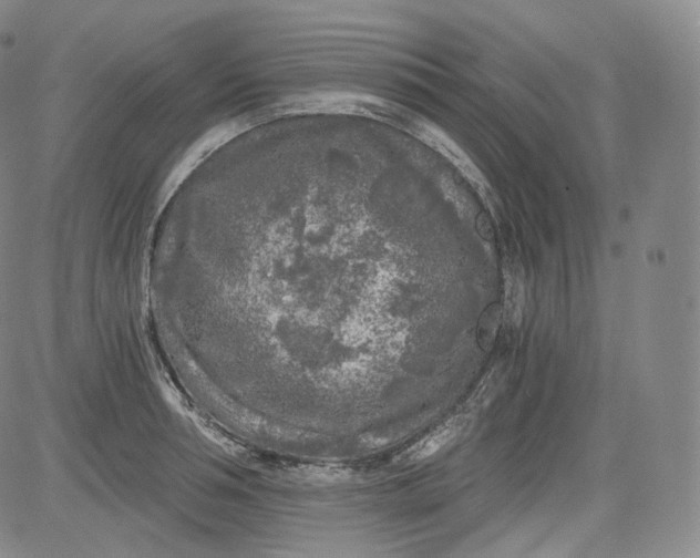 X0000084040994200703022144