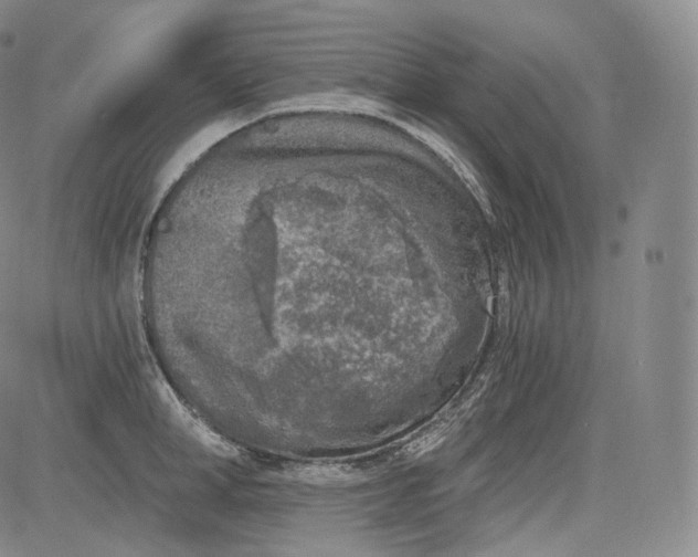 X0000084040998200703022144