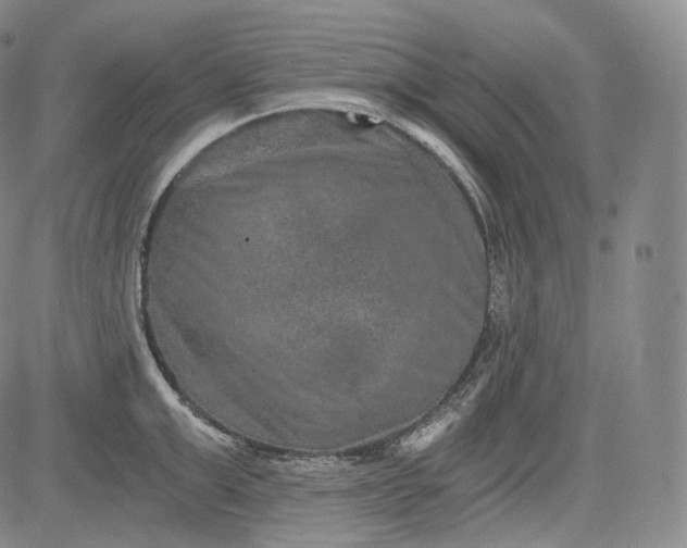 X0000084040999200703022144