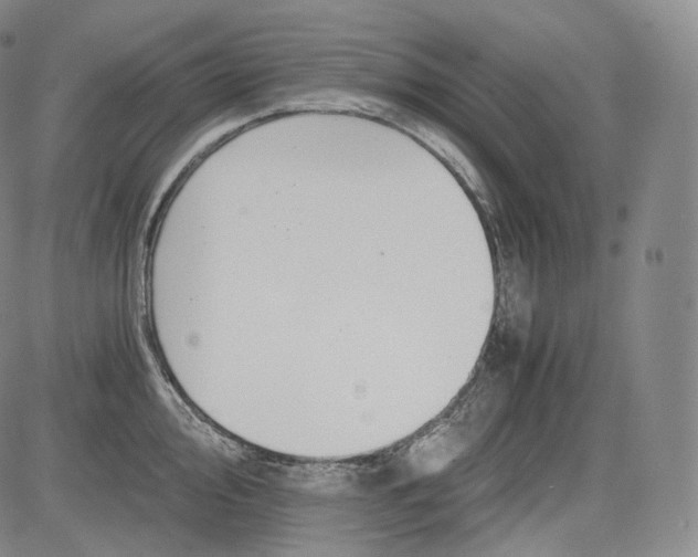 X0000084041000200703022144