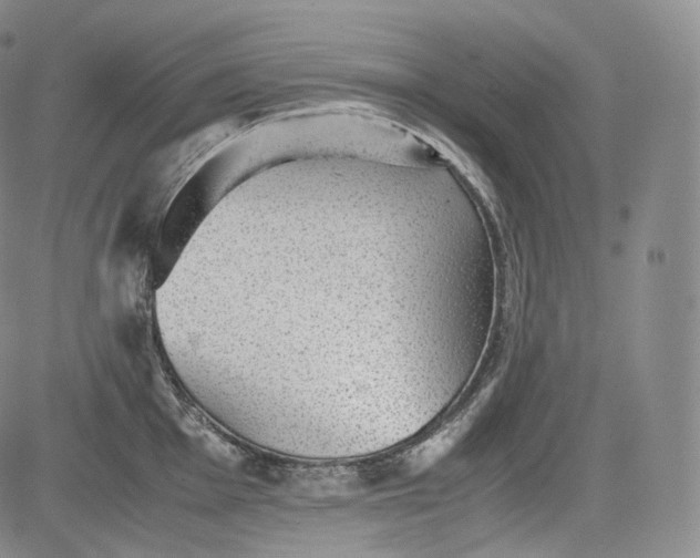 X0000084041001200703022144