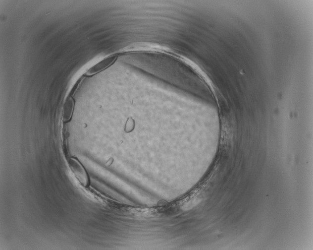 X0000084041003200703022144