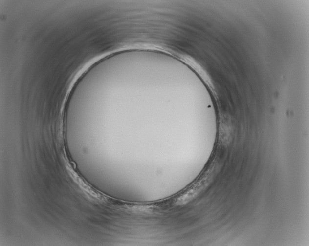 X0000084041004200703022144