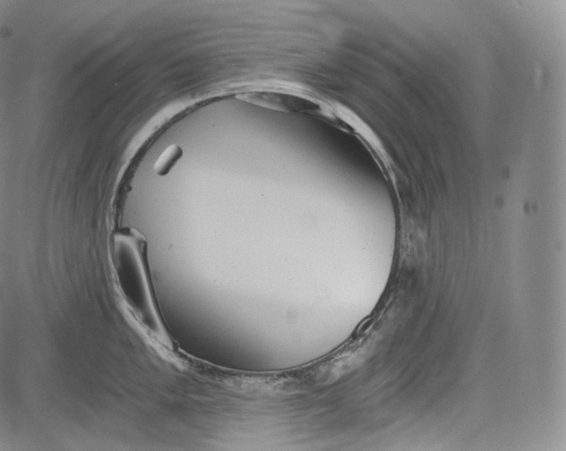 X0000084041005200703022144