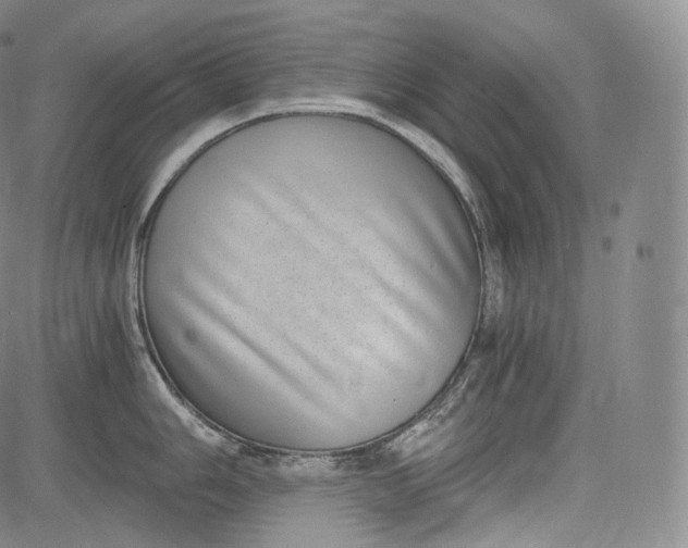 X0000084041006200703022144