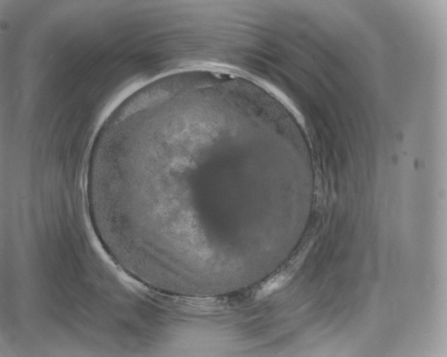 X0000084041007200703022144