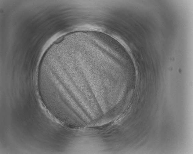 X0000084041008200703022144