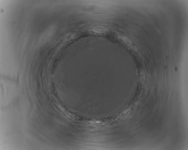 X0000084041009200703022143