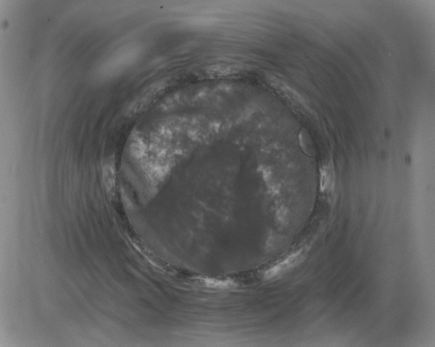 X0000084041011200703022143