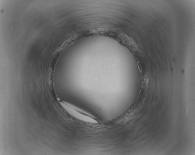 X0000084041012200703022143