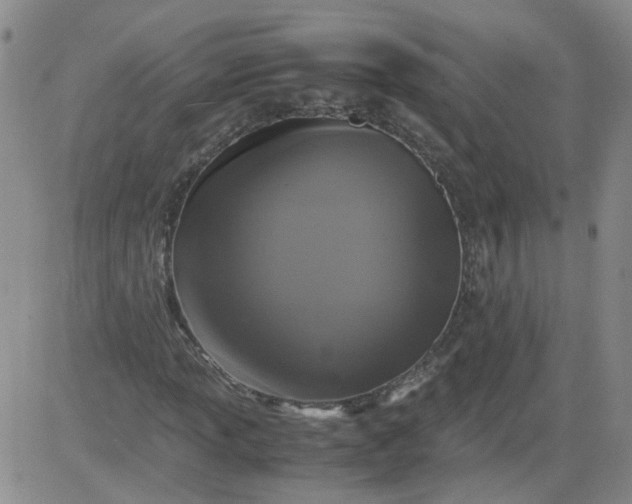 X0000084041013200703022143