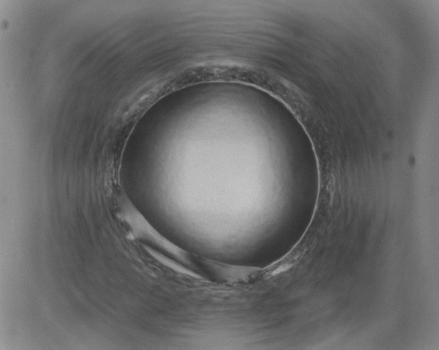 X0000084041014200703022143