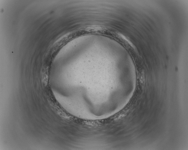 X0000084041015200703022143