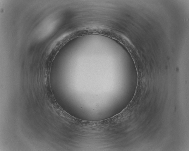 X0000084041016200703022143