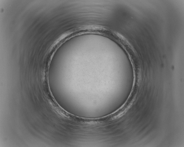 X0000084041017200703022143