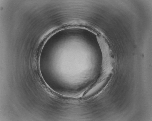 X0000084041018200703022143