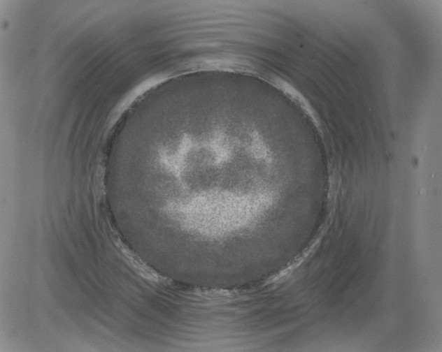 X0000084041019200703022143