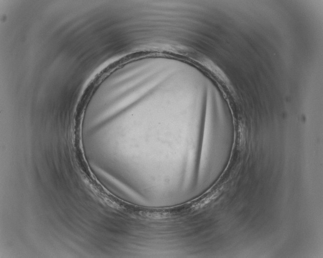 X0000084041020200703022143