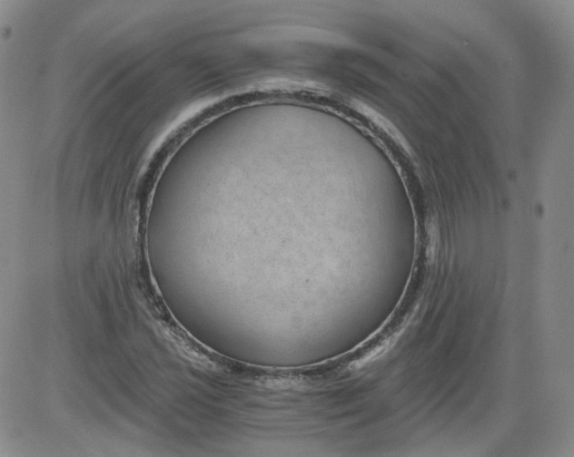 X0000084041021200703022143