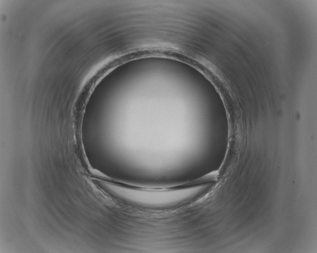 X0000084041022200703022143