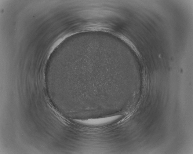 X0000084041023200703022143