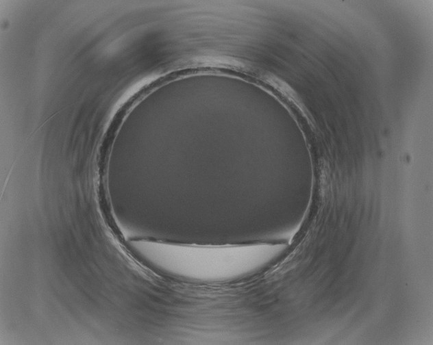 X0000084041024200703022143