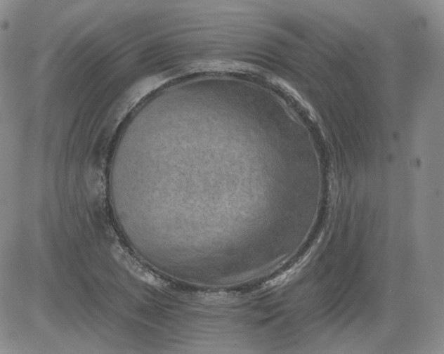 X0000084041025200703022143