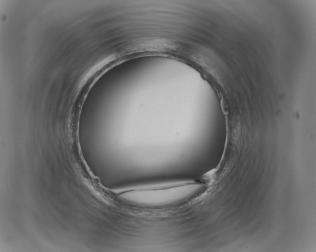 X0000084041026200703022143