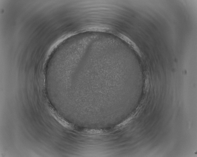 X0000084041027200703022143