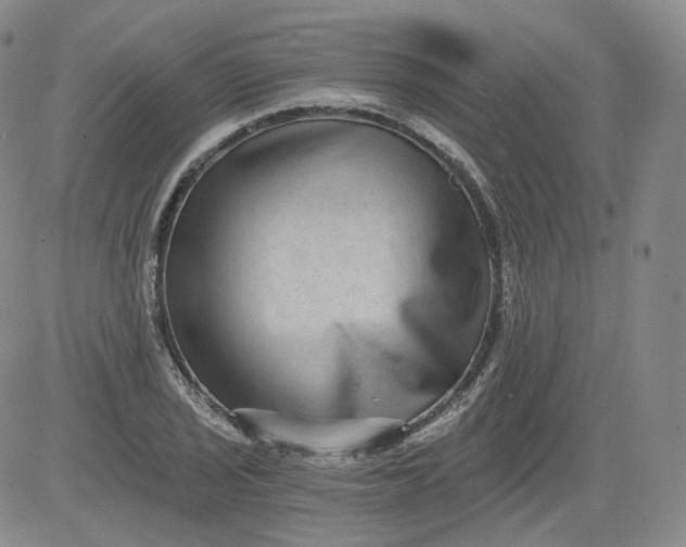 X0000084041029200703022143