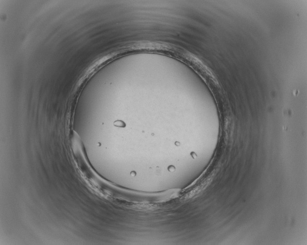 X0000084041033200703022143