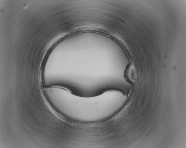 X0000084041034200703022143