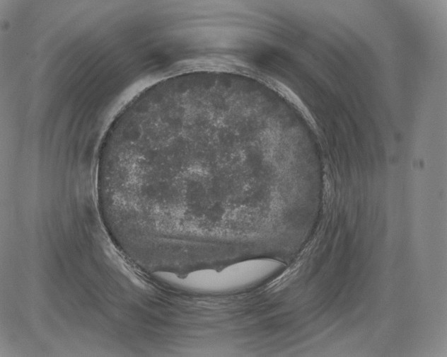 X0000084041035200703022143