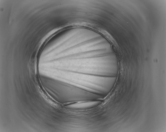 X0000084041036200703022144