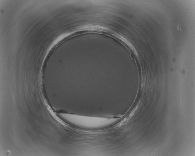 X0000084041037200703022144