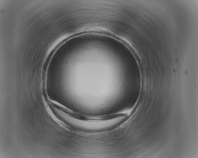 X0000084041038200703022144