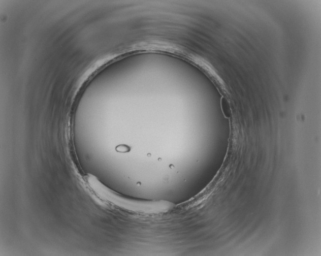 X0000084041040200703022144