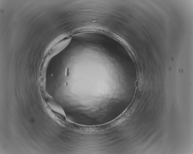 X0000084041042200703022144