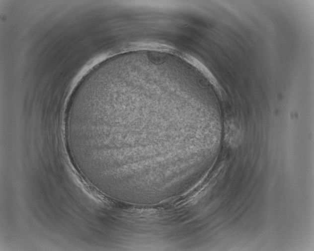 X0000084041043200703022144