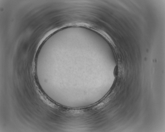 X0000084041044200703022144