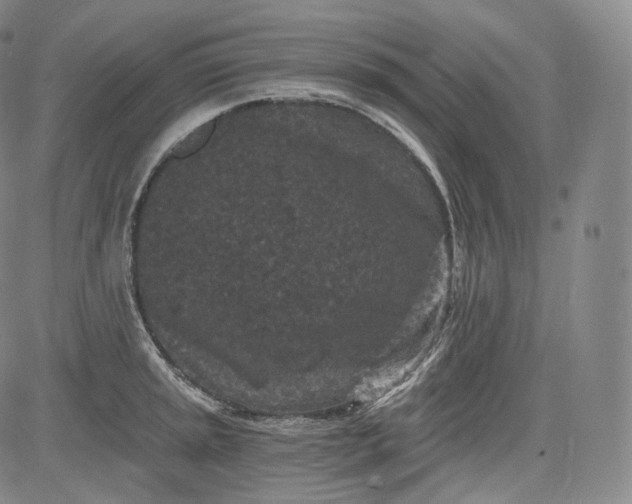 X0000084041045200703022144