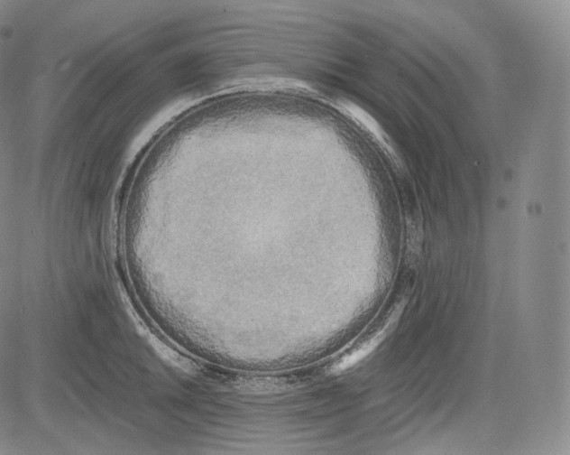 X0000084041046200703022144