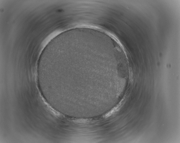 X0000084041048200703022144