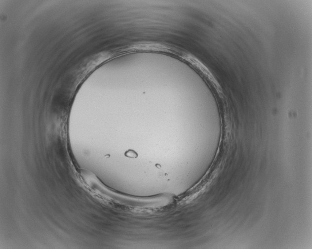 X0000084041049200703022144