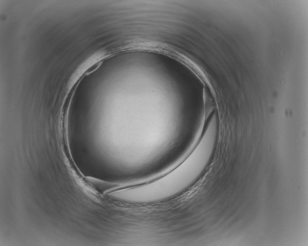 X0000084041050200703022144