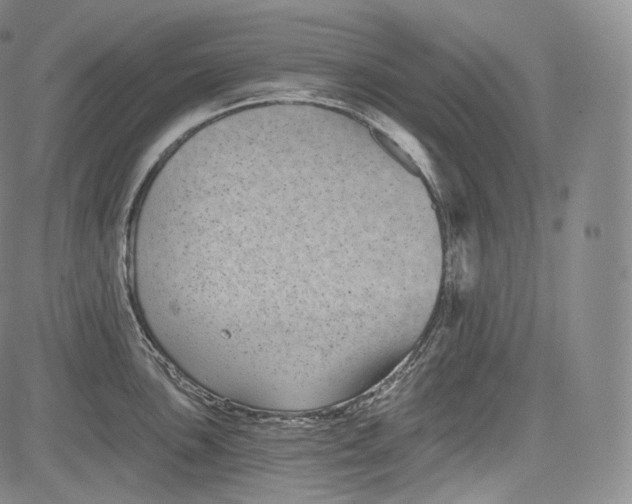 X0000084041051200703022144