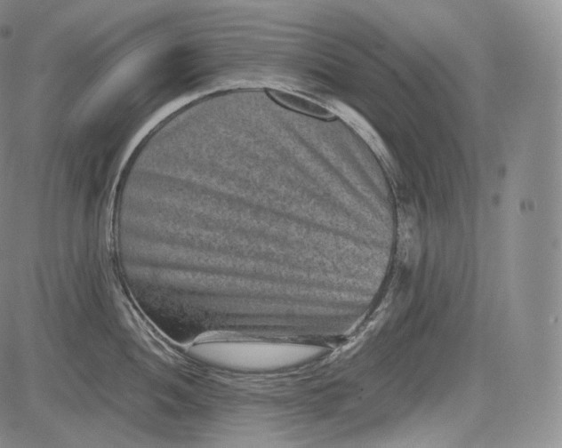 X0000084041052200703022144